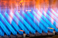 Hankelow gas fired boilers
